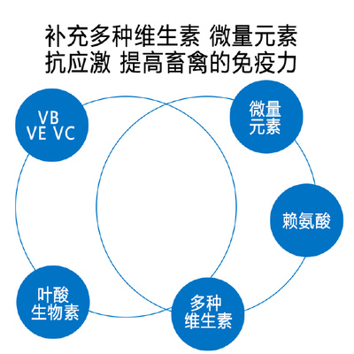 维生素添加剂 多维复合维生素水溶性2008金维它可饮水可拌料水产多维